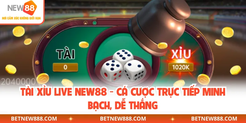 Tài Xỉu Live NEW88 - Cá Cược Trực Tiếp Minh Bạch, Dễ Thắng