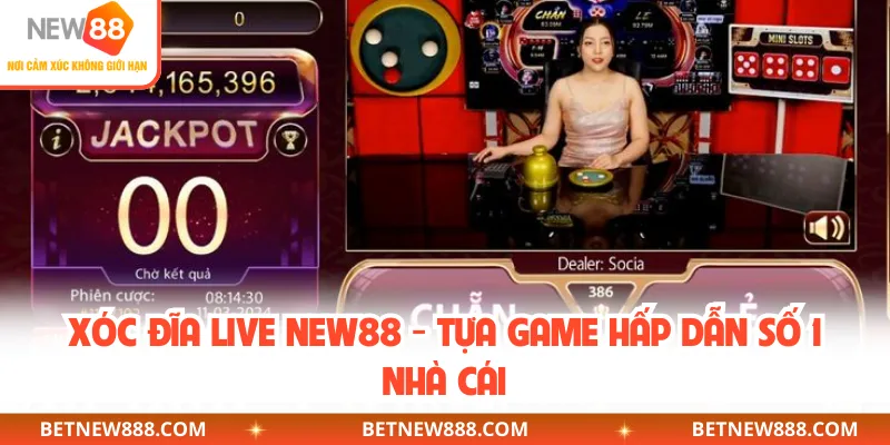 Xóc Đĩa Live NEW88 - Tựa Game Hấp Dẫn Số 1 Nhà Cái
